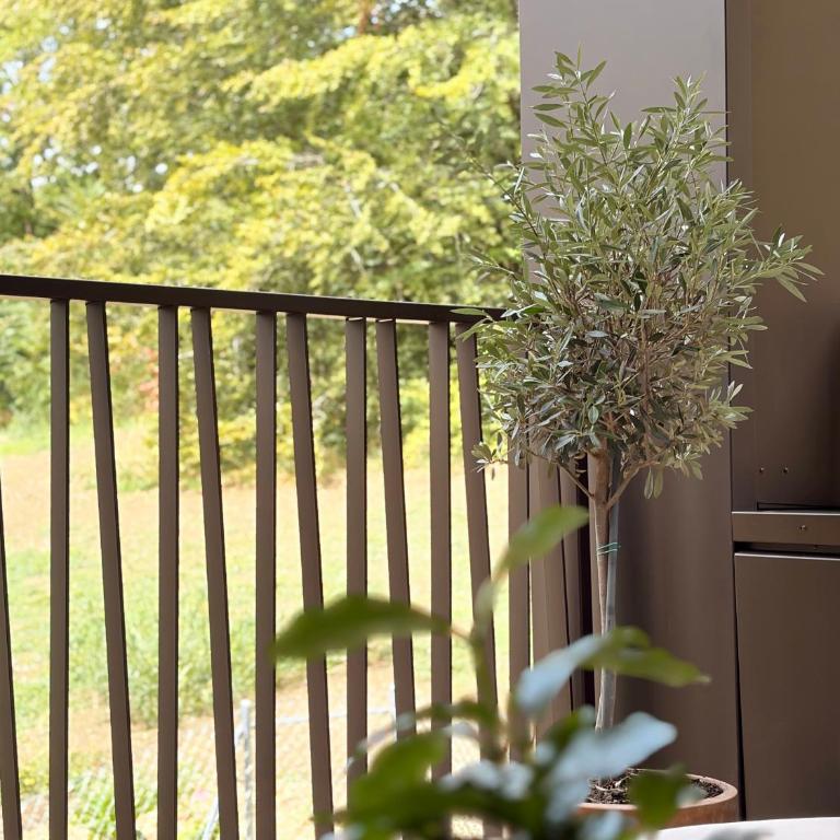Serenity 77 - 100 m2 designed by an architect - Geneva - Appartement 2 Chambres - 74