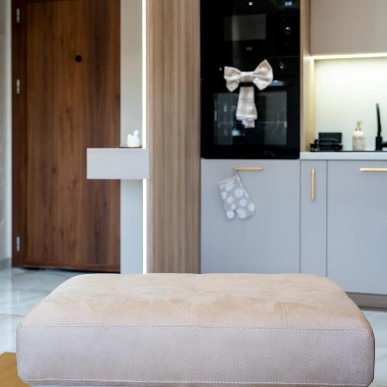 NiA montanum, uživanje u spa centru i bazenu uključeno u cenu - Apartman sa 1 Spavaćom Sobom - 75