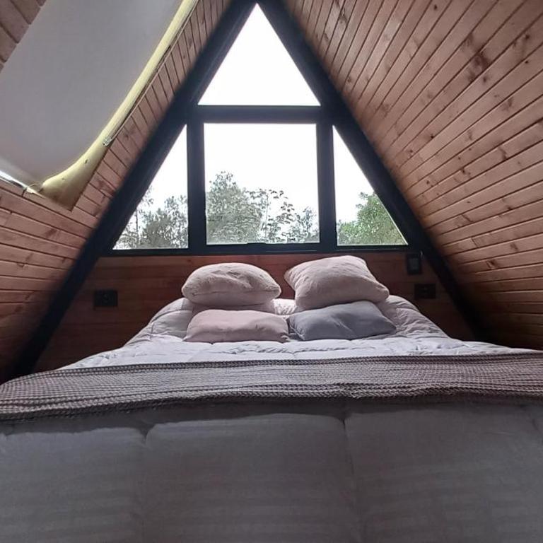 Chalets Foret Curazao - Standard Villa - 16