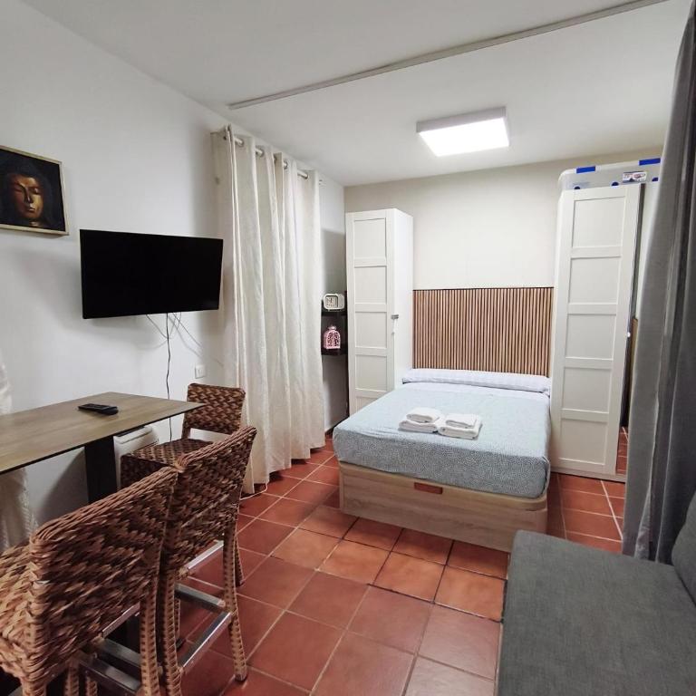Rincón de Castilla Estudio en Triana - Apartamento de 1 dormitorio - 10