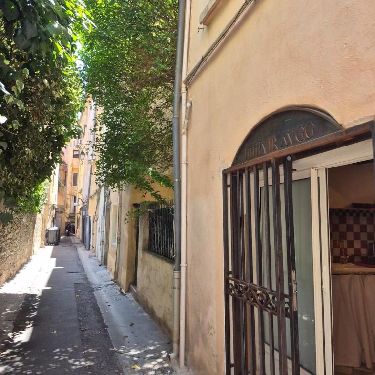 Studio in historic center - Appartement 1 Chambre - 13