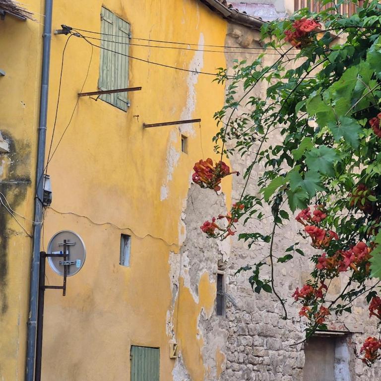 Studio in historic center - Appartement 1 Chambre - 20