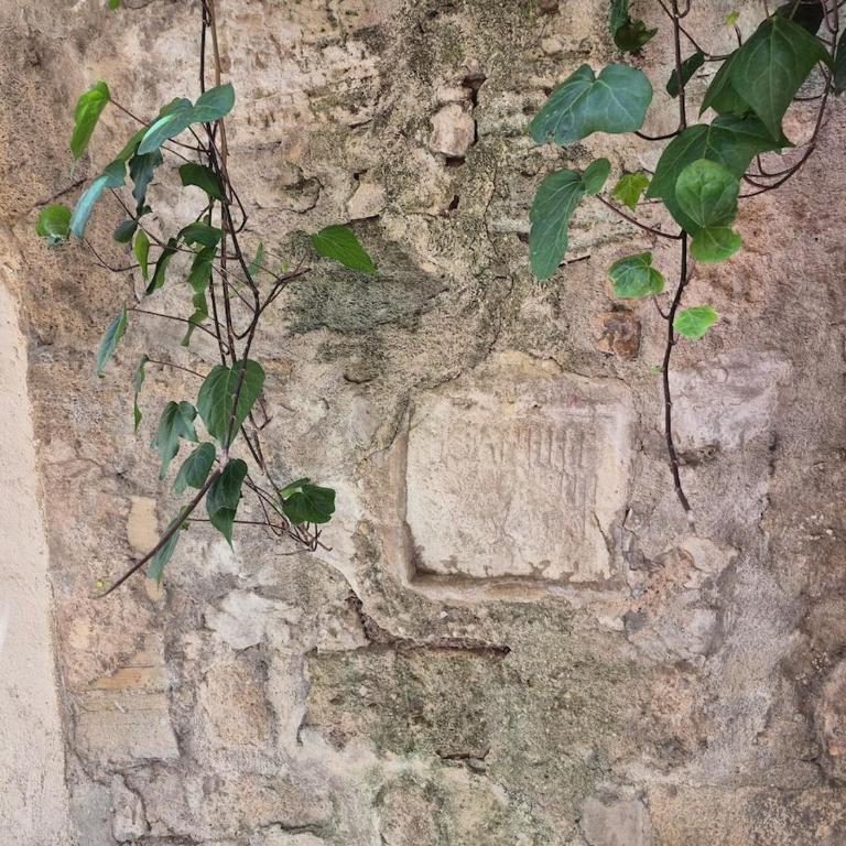 Studio in historic center - Appartement 1 Chambre - 28