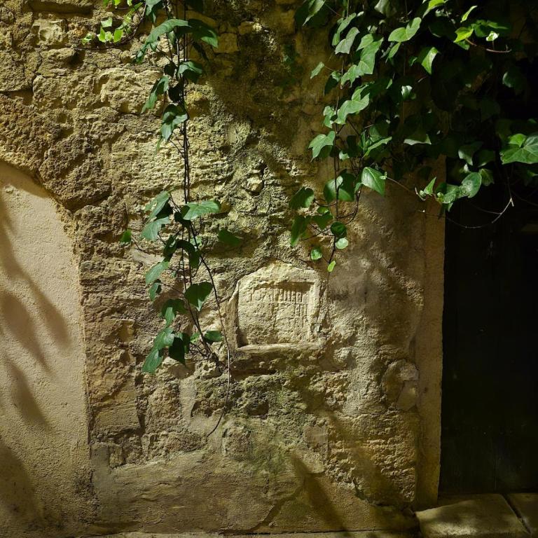 Studio in historic center - Appartement 1 Chambre - 47