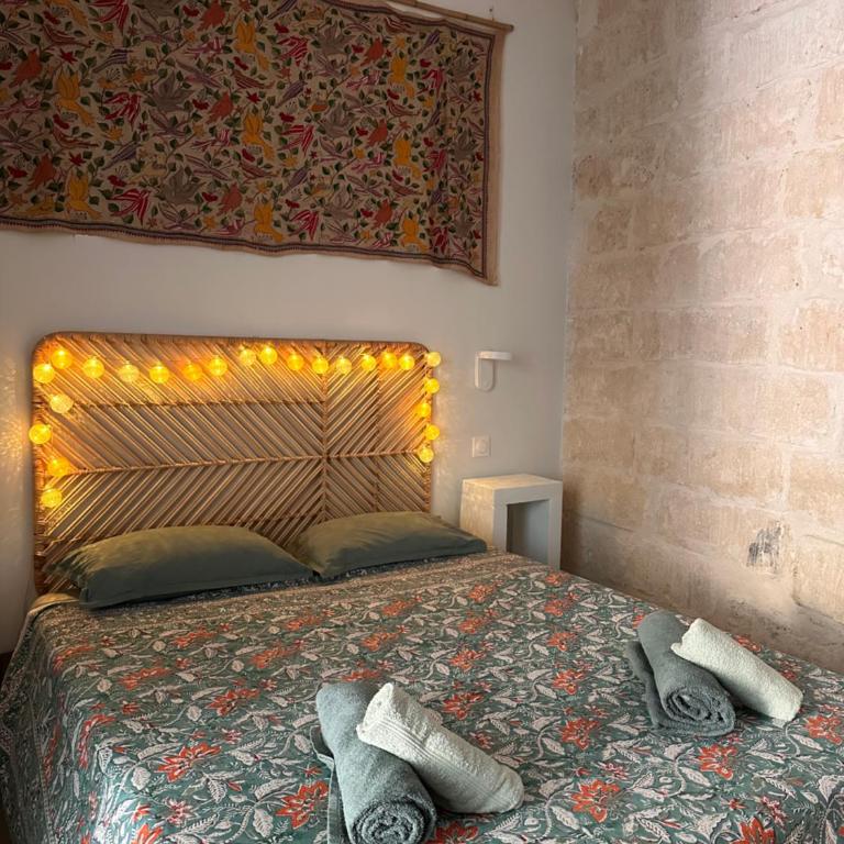 L'Écusson vert, charmant T2 central et climatisé - Apartment mit 1 Schlafzimmer - 3