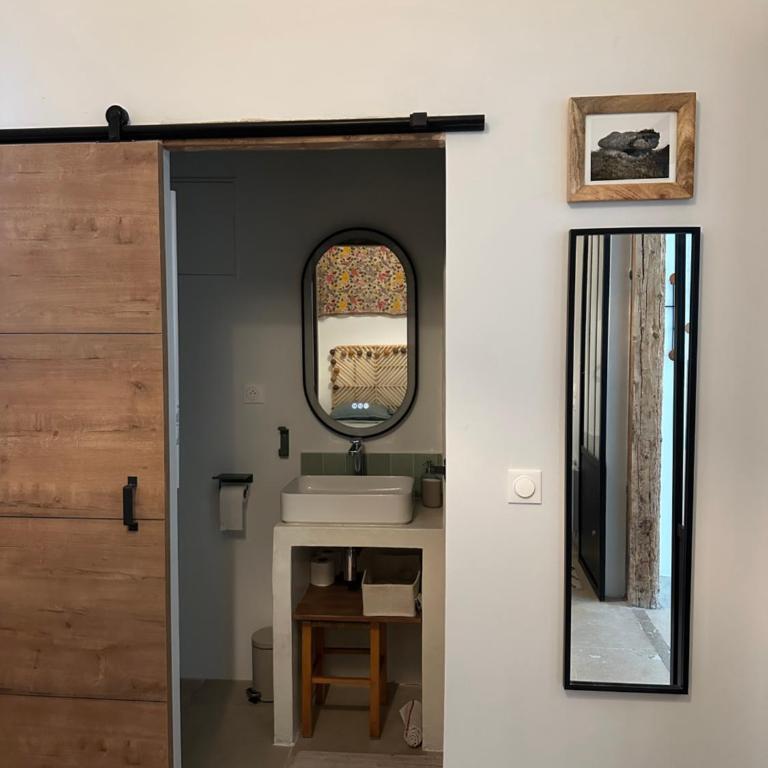 L'Écusson vert, charmant T2 central et climatisé - Apartment mit 1 Schlafzimmer - 6
