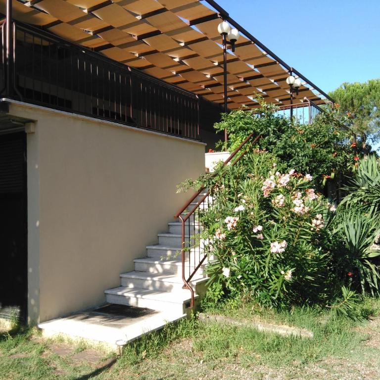 Le Ginestre Arte Vacanze - Appartamento - 5