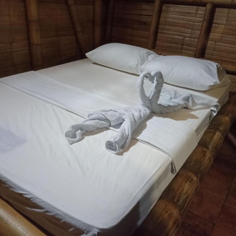 Glamping 1 - Tienda - 7