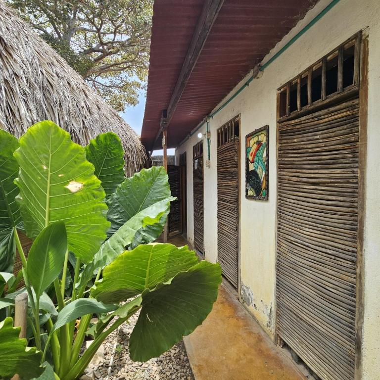 BUENA ONDA HOSTAL Palomino - Bed in 8-Bed Mixed Dormitory Room - 14