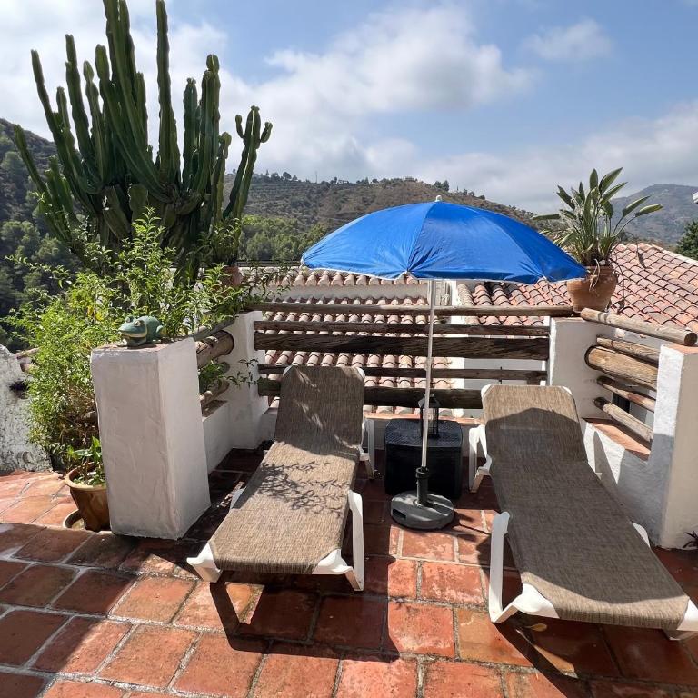 Villa Jardin piscina climatizada - Villa de 2 dormitorios - 16