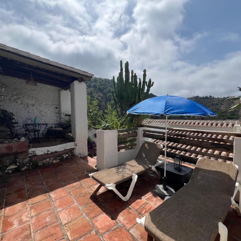 Villa Jardin piscina climatizada - Villa de 2 dormitorios - 17