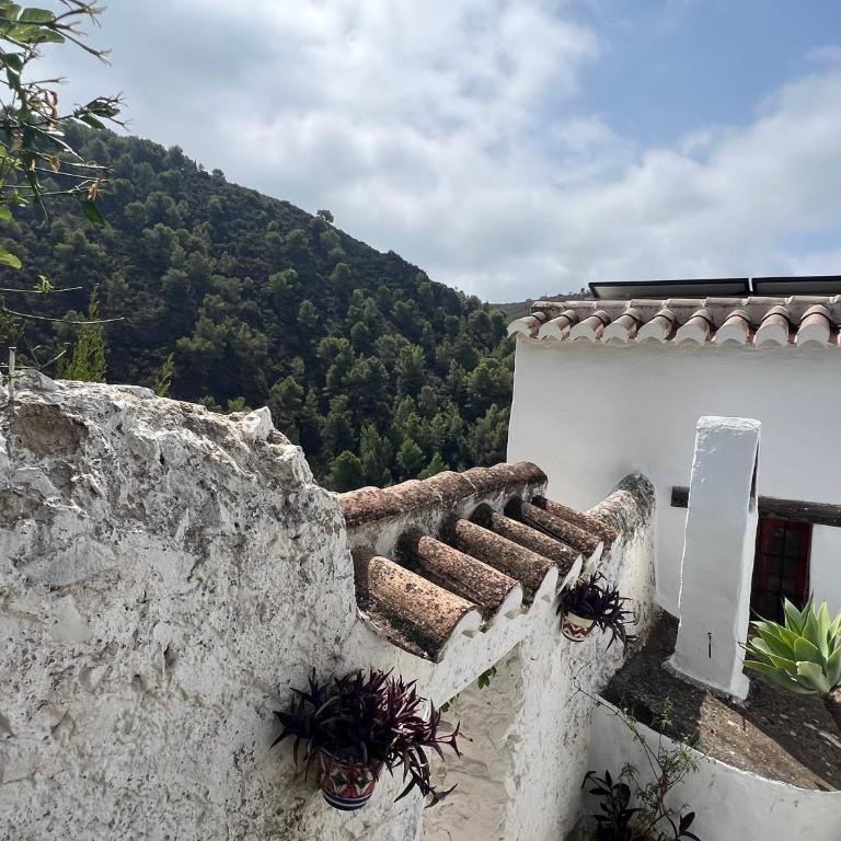 Villa Jardin piscina climatizada - Villa de 2 dormitorios - 19