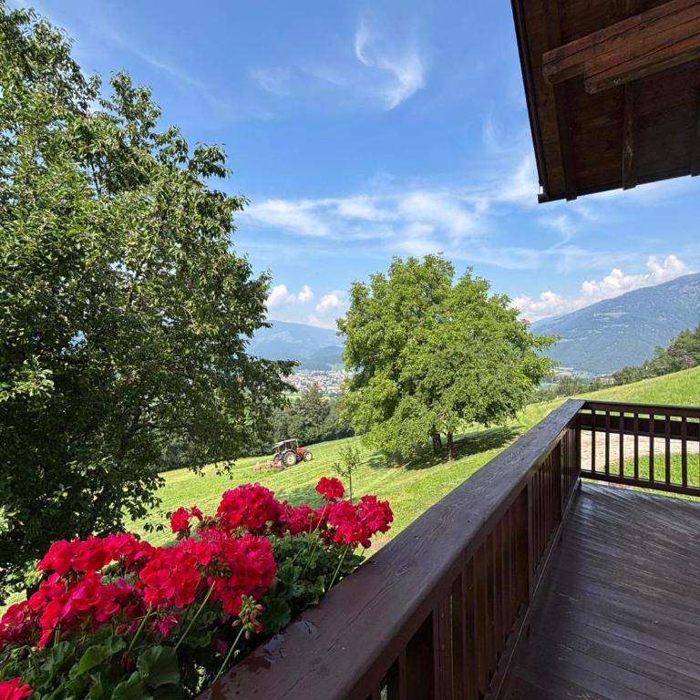 Ferienwohnungen Mitterkröll - Apartamento de 1 dormitorio - 21