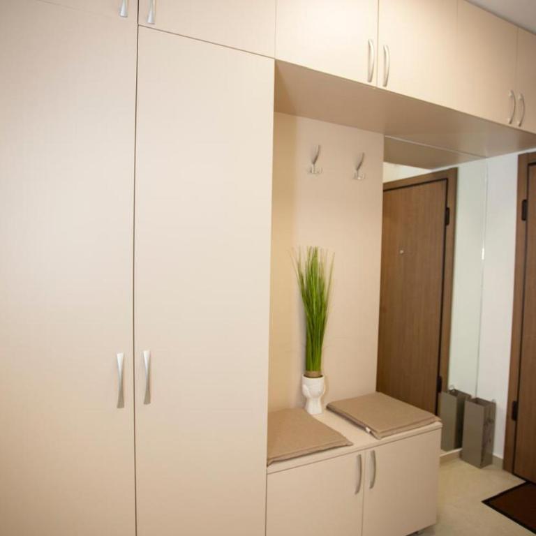 Luxury apartment Mihajlo - Apartman sa 1 Spavaćom Sobom - 11