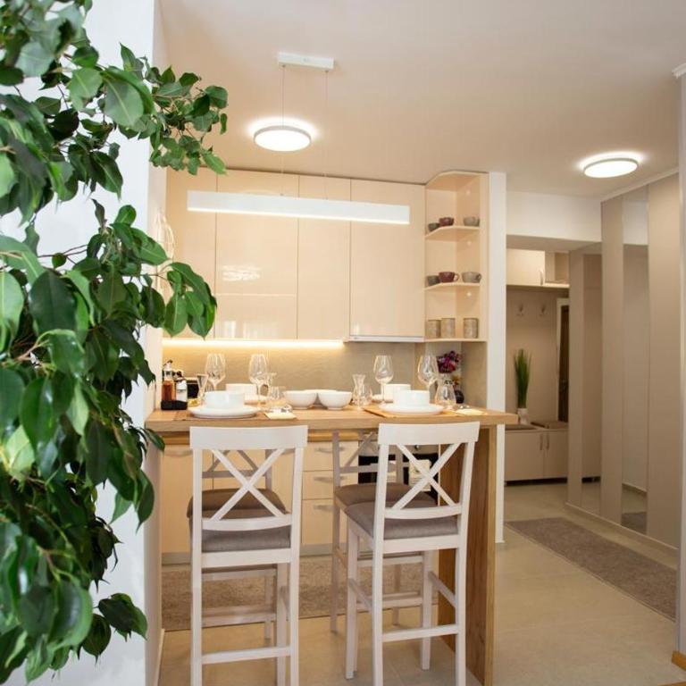 Luxury apartment Mihajlo - Apartman sa 1 Spavaćom Sobom - 13
