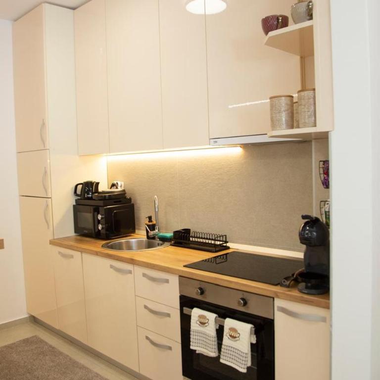 Luxury apartment Mihajlo - Apartman sa 1 Spavaćom Sobom - 31