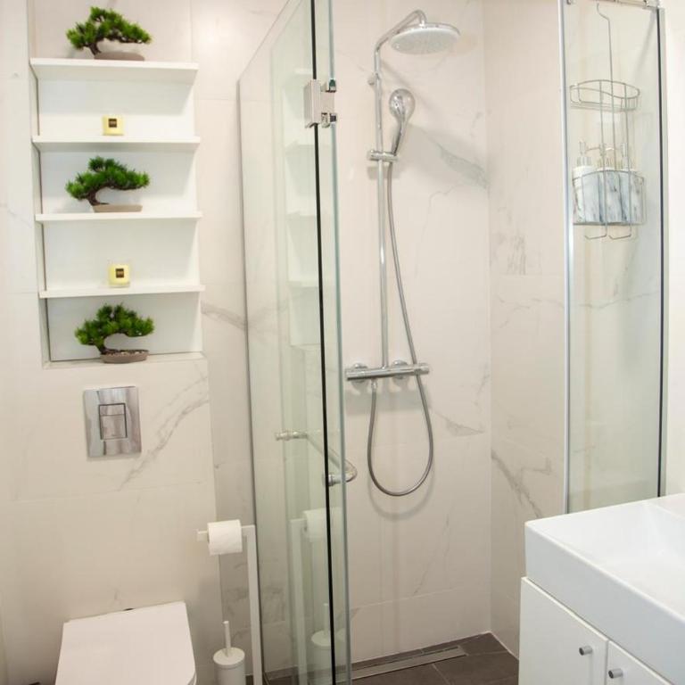 Luxury apartment Mihajlo - Apartman sa 1 Spavaćom Sobom - 68