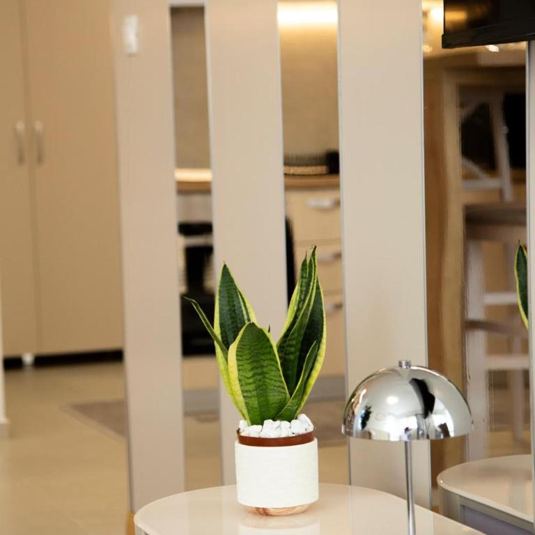 Luxury apartment Mihajlo - Apartman sa 1 Spavaćom Sobom - 52