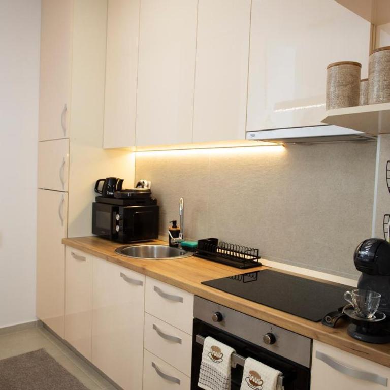 Luxury apartment Mihajlo - Apartman sa 1 Spavaćom Sobom - 29