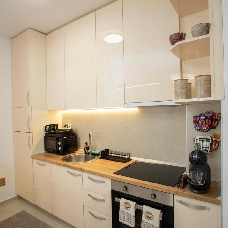 Luxury apartment Mihajlo - Apartman sa 1 Spavaćom Sobom - 25