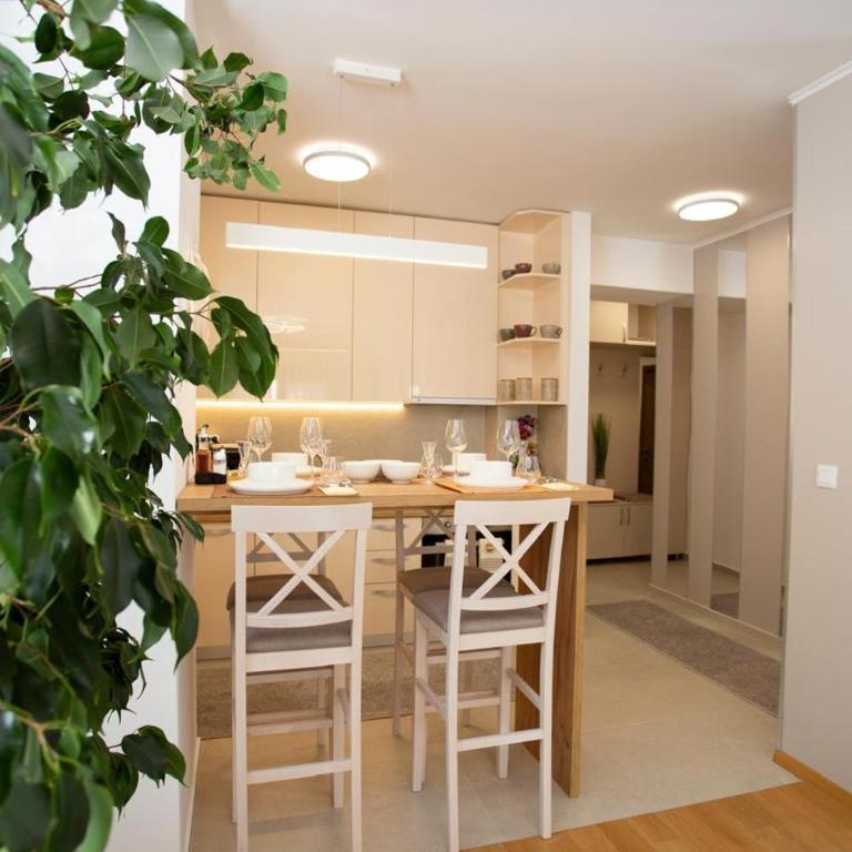 Luxury apartment Mihajlo - Apartman sa 1 Spavaćom Sobom - 19