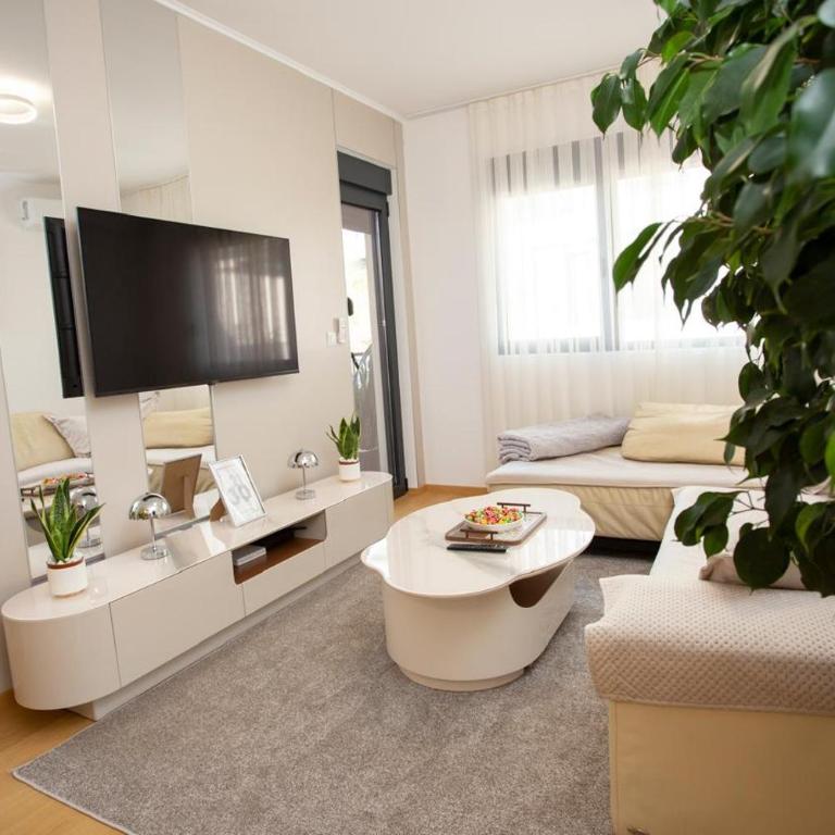 Luxury apartment Mihajlo - Apartman sa 1 Spavaćom Sobom - 47