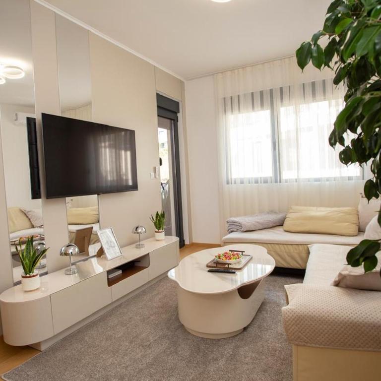 Luxury apartment Mihajlo - Apartman sa 1 Spavaćom Sobom - 49