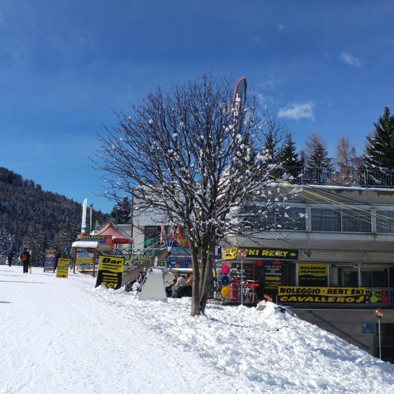 Apartment Ski Marilleva 1400 - Appartamento su 2 Livelli - 28