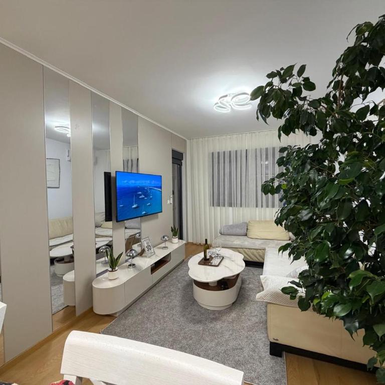 Luxury apartment Mihajlo - Apartman sa 1 Spavaćom Sobom - 48