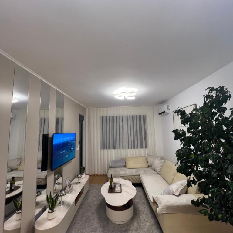 Luxury apartment Mihajlo - Apartman sa 1 Spavaćom Sobom - 41