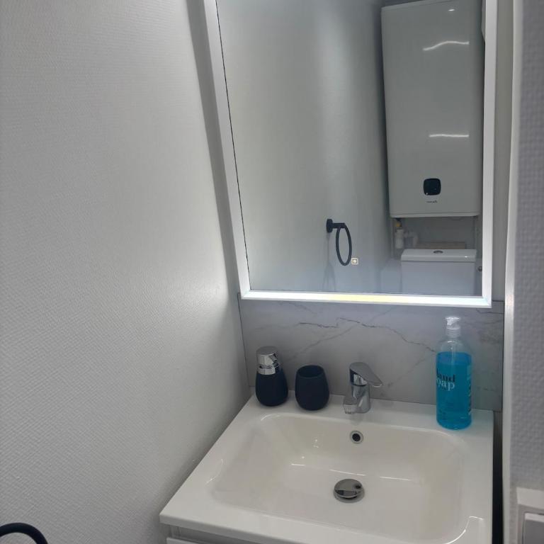 Studio Cozy Calme Parking gratuit proche du centre de Nancy - Appartement 1 Chambre - 9