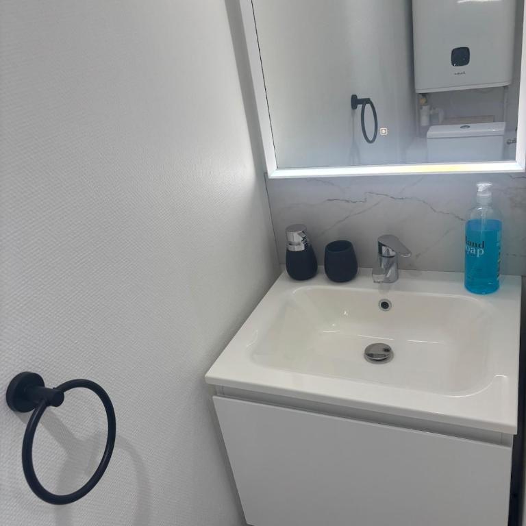 Studio Cozy Calme Parking gratuit proche du centre de Nancy - Appartement 1 Chambre - 8