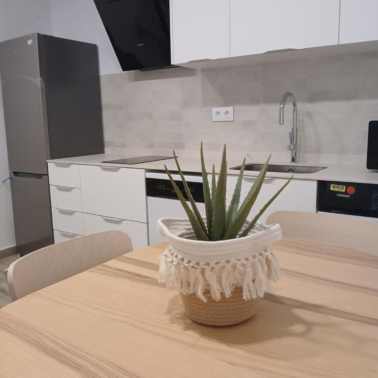 Apartamentos Benidorm Chorrol - Apartment - Erdgeschoss - 4