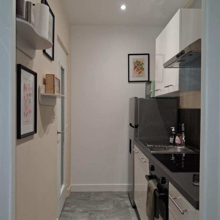 Studio rénové au cœur de Chambéry - One-Bedroom Apartment - 11