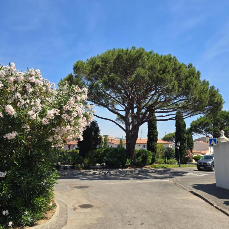 Villa Nieva, maison de pêcheur avec piscine privée et son bateau - Villa avec Piscine Privée - 100