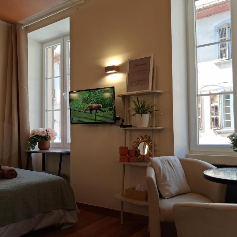 Studio rénové au cœur de Chambéry - One-Bedroom Apartment - 2