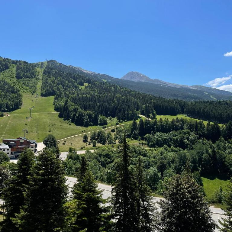 L'ALTI -Studio Balcon vue montagne Villard-de-Lans - Appartement 1 Chambre - 2