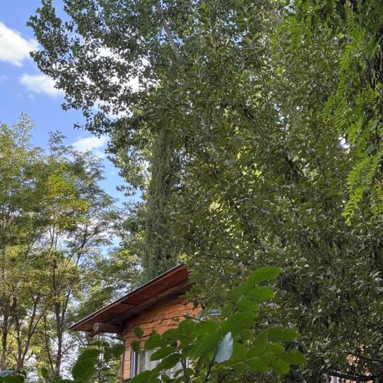Cabaña Finca La Micela - Tupungato - Two-Bedroom House - 17