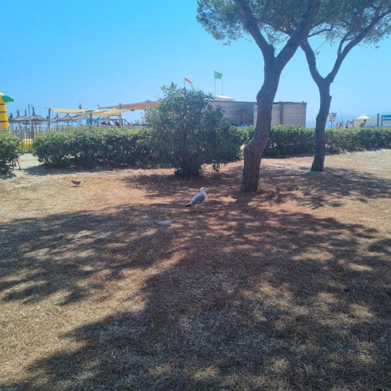 Appartement T2 100 m de la mer - Apartment mit 1 Schlafzimmer - 14