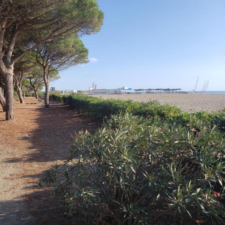 Appartement T2 100 m de la mer - Apartment mit 1 Schlafzimmer - 16