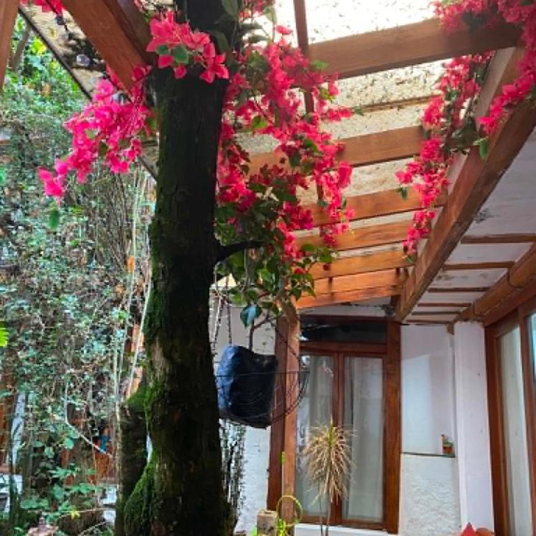 Homely suit in Cuenca - Two-Bedroom Apartment - 5