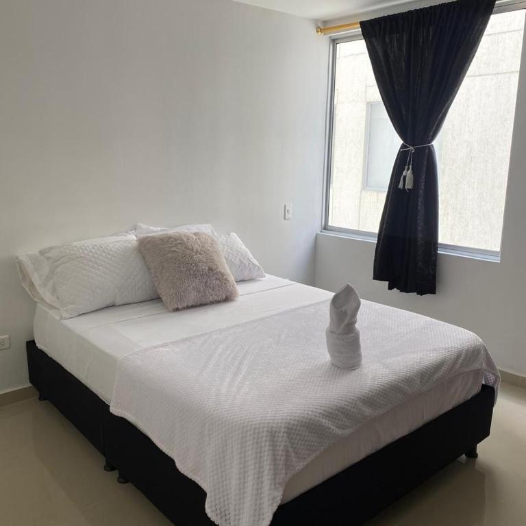 Apto san gil plaza 1003 - Apartamento Superior de 2 dormitorios - 7