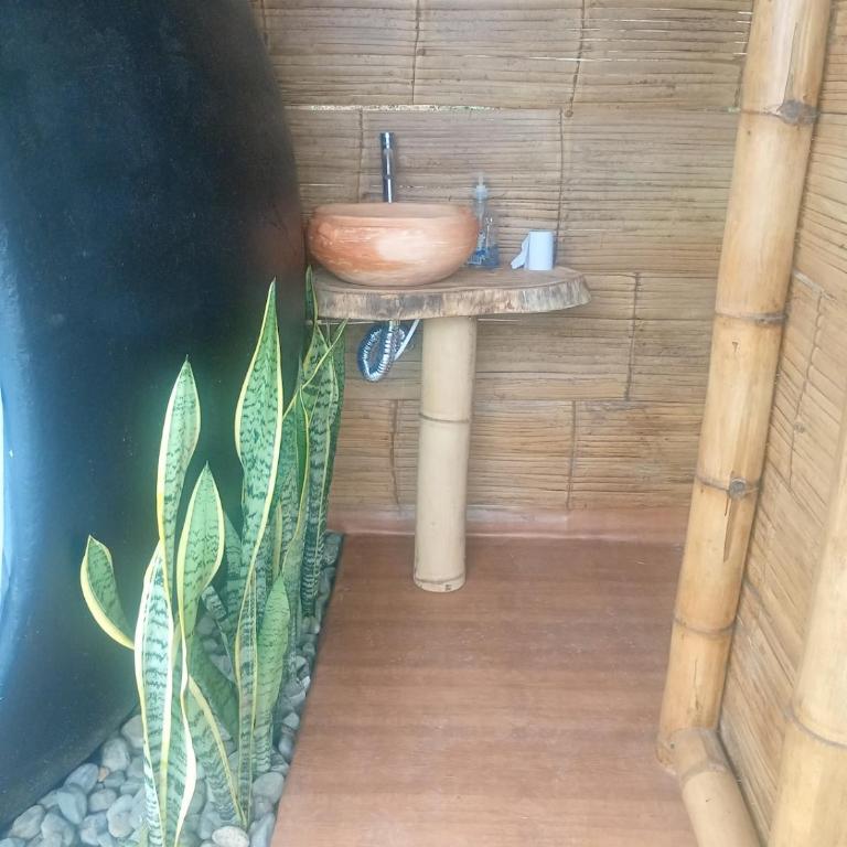 luna 2 - Tienda - 7