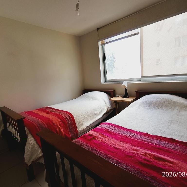Depto de 3 habitaciones en Algarrobo Norte - Apartamento de 3 dormitorios - 15