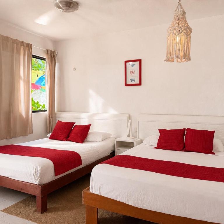 "Casitas Arcoiris" Excelente ubicación - Petfriendly - Studio - 3