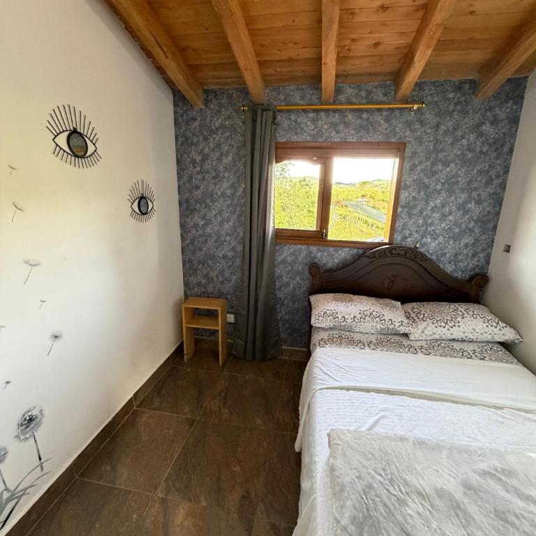 Finca con ducha externa, naturaleza y desconexión - Apartamento - 34