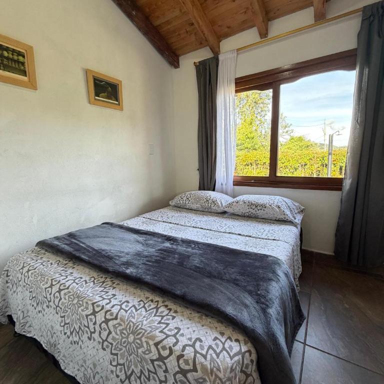 Finca con ducha externa, naturaleza y desconexión - Apartamento - 40