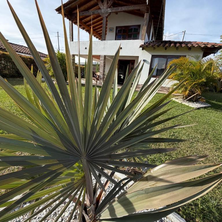 Finca con ducha externa, naturaleza y desconexión - Apartamento - 13