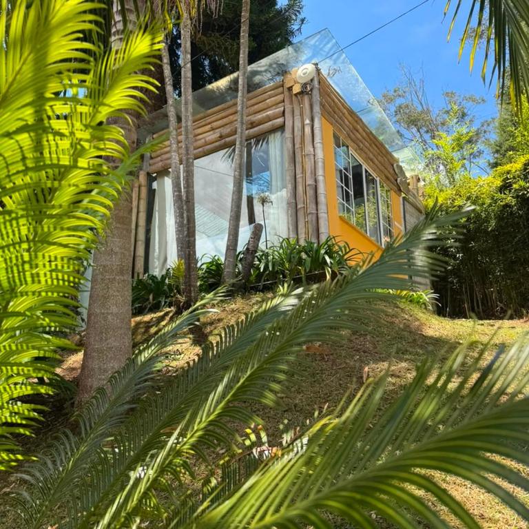 BioHotel Ecohouse - Suite con bañera de hidromasaje - Cama extragrande - 5