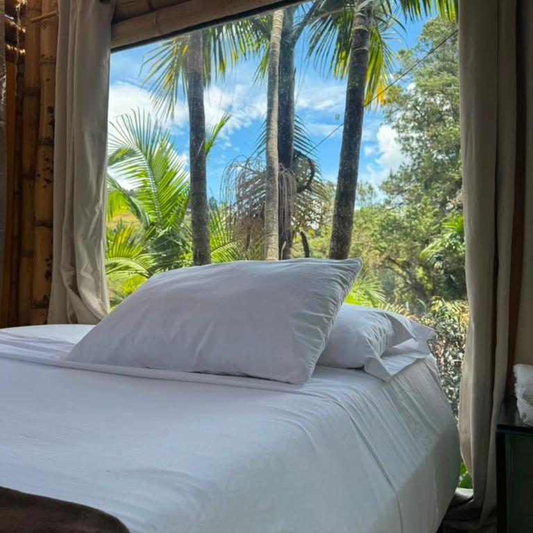 BioHotel Ecohouse - Suite con bañera de hidromasaje - Cama extragrande - 8
